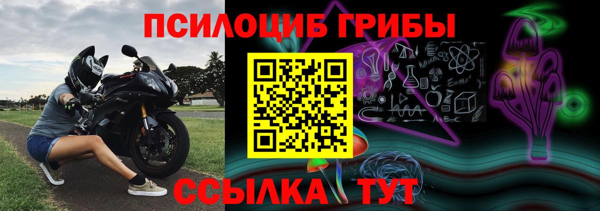 Галлюциногенные грибы мицелий Красногорск