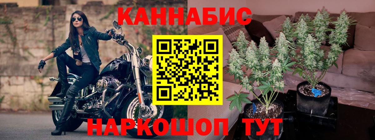 Бошки марихуана семена Красногорск